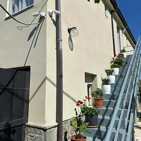 Piceri Rodoni And Draç